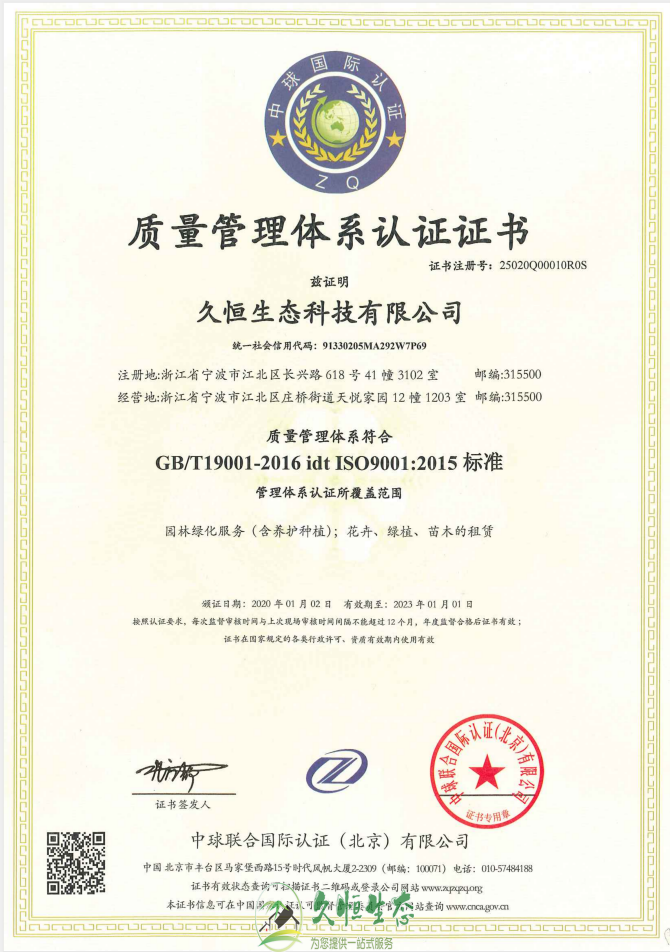 宁波镇海质量管理体系ISO9001证书